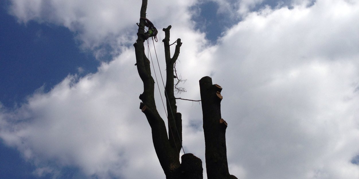TimberTechClimb's profile banner image