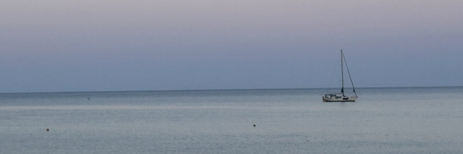 Francesca Pontani banner