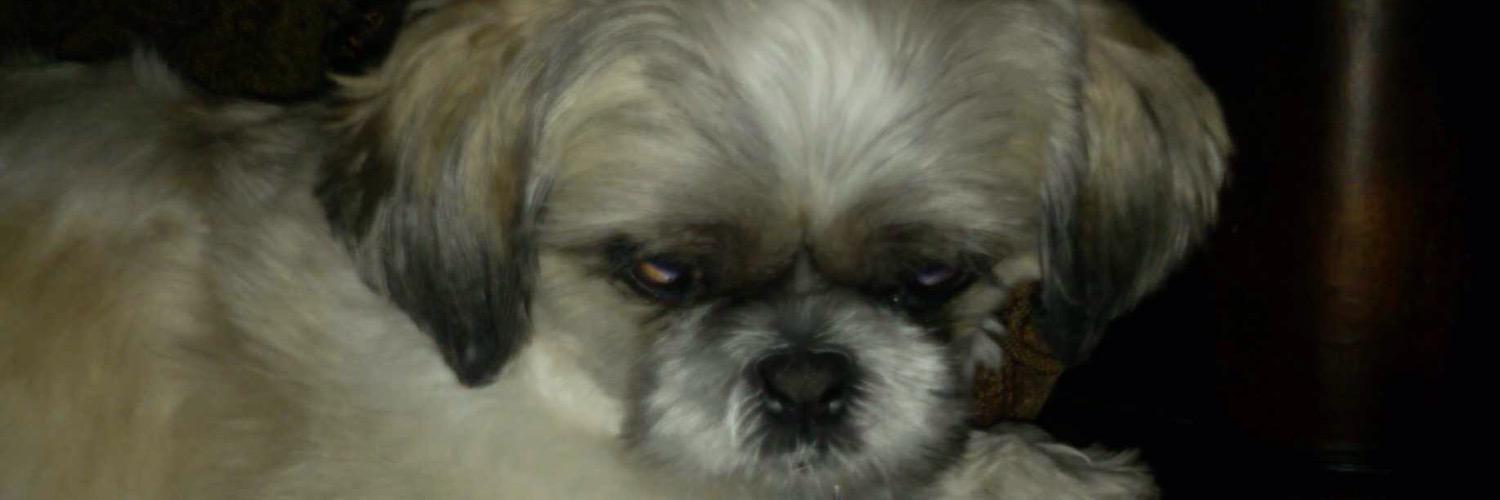 tfairbs's profile banner image