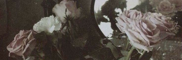 delicate_venus's profile banner image