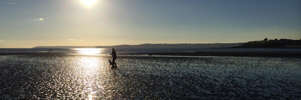 Willhuggins Profile Banner