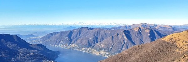 GretaForse Profile Banner