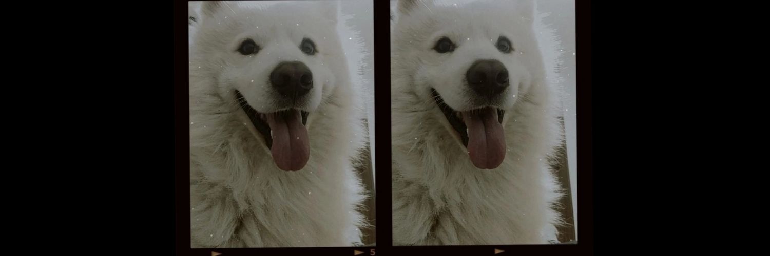 Mi__Luu's profile banner image