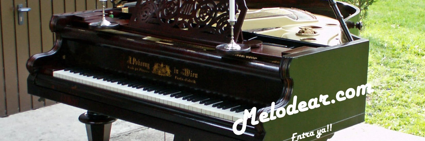 MELODEARCOM's profile banner image