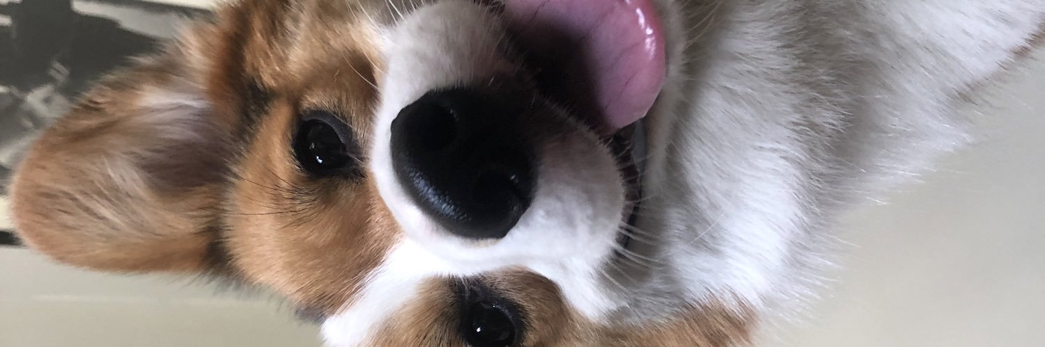 lilzur's profile banner image