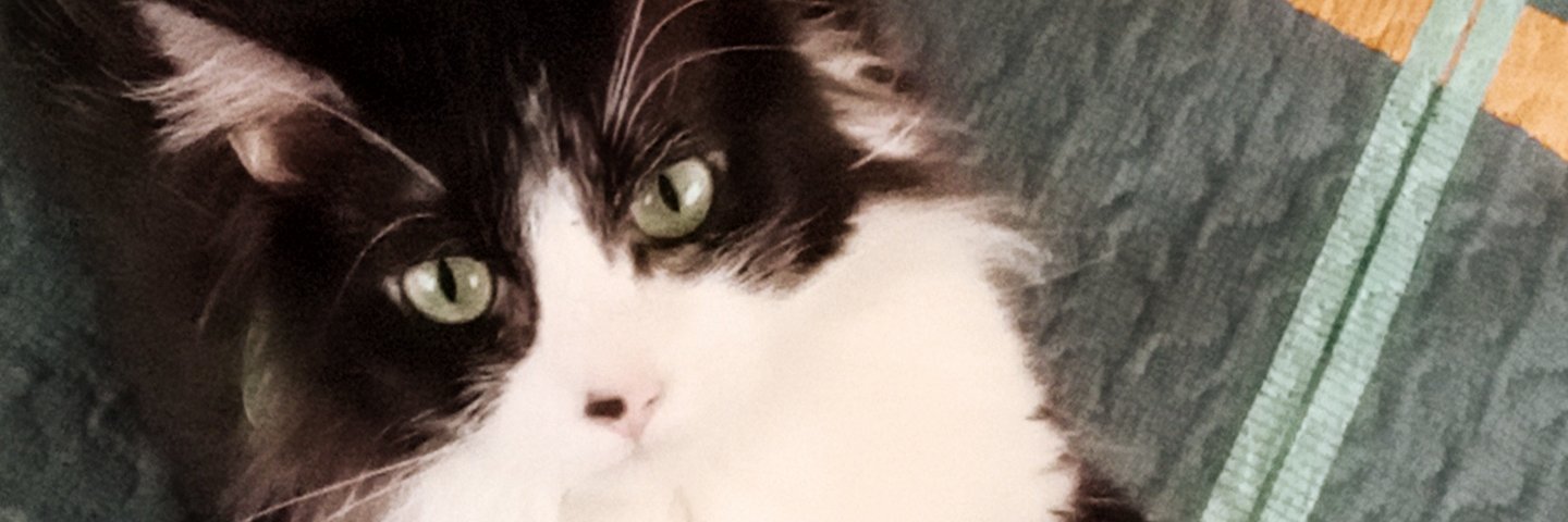 MiriamZea's profile banner image