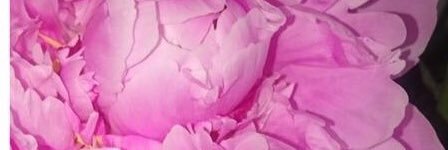 gretahei's profile banner image