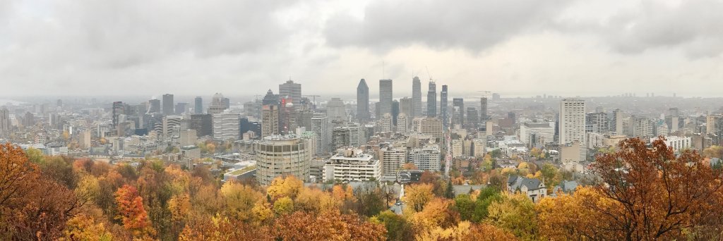 Alexandre Impinna banner