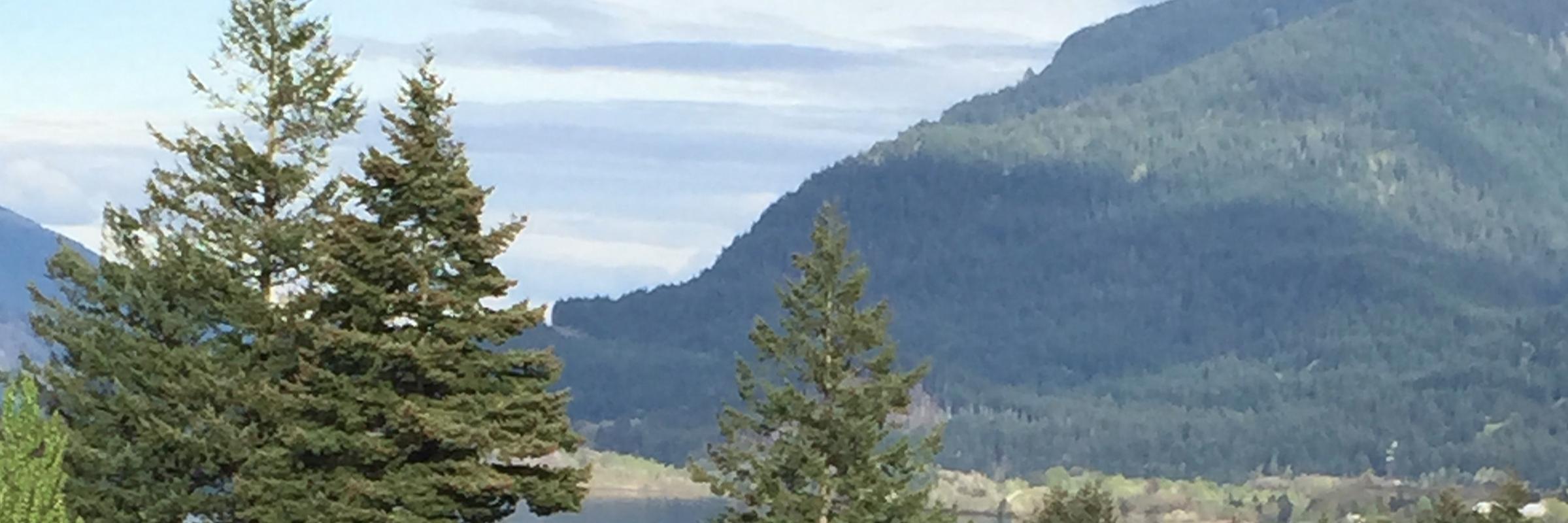 Darn_if_I_know's profile banner image