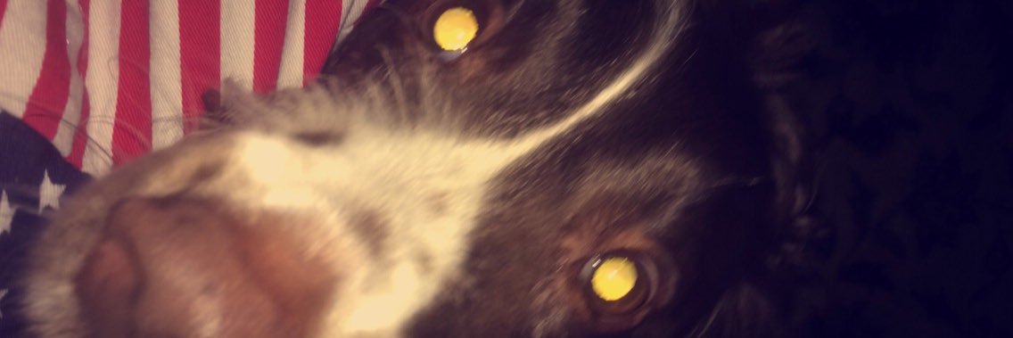 Hsealy7's profile banner image