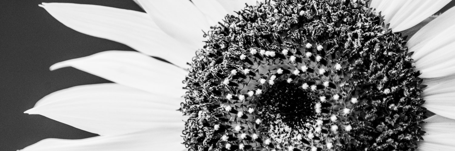 jaalberga's profile banner image