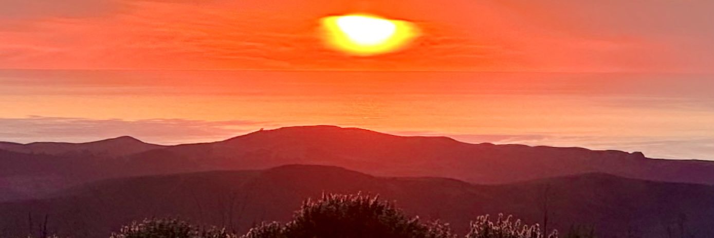 GinaTorelli's profile banner image