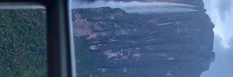 Leiris banner
