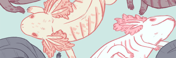 MaxolotlMad Profile Banner