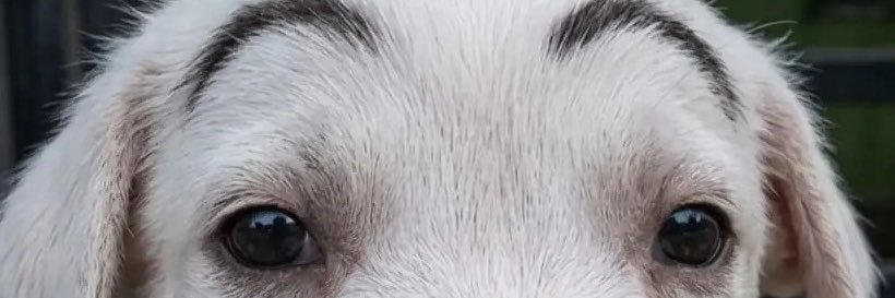 delux_xee's profile banner image