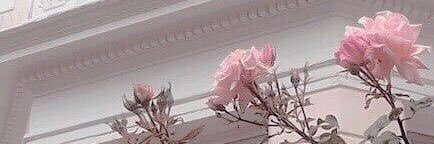 ellak_'s profile banner image
