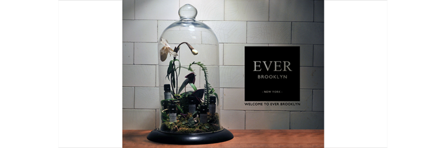 everbrklyn's profile banner image