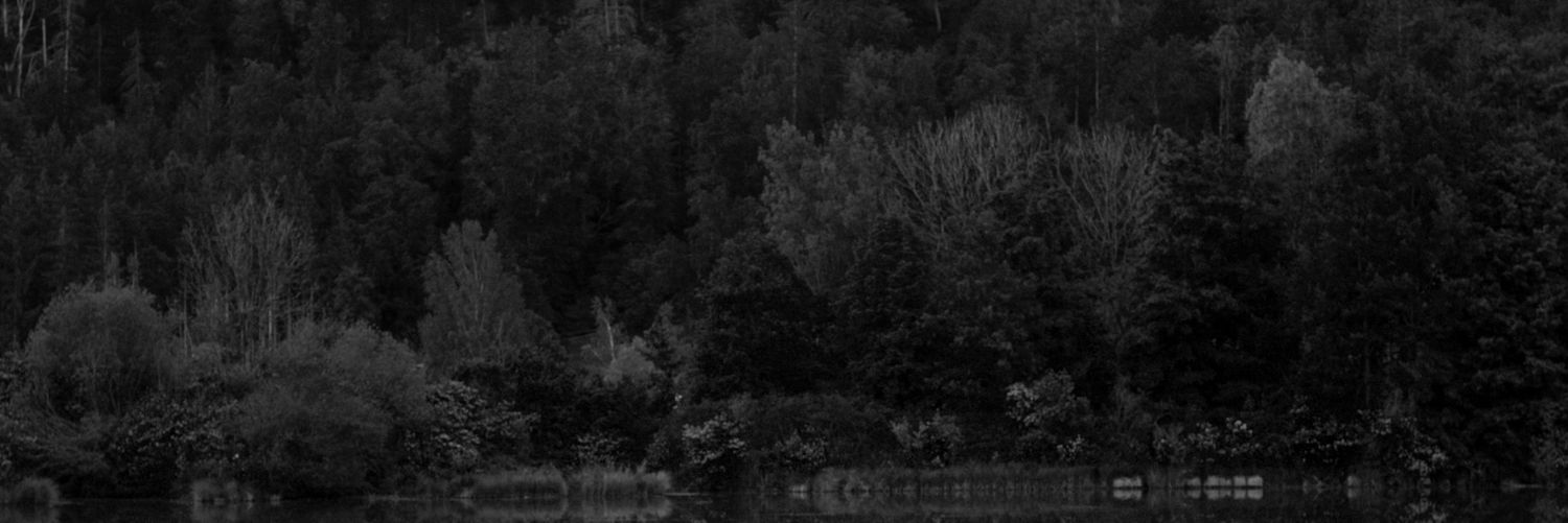DasMartens's profile banner image