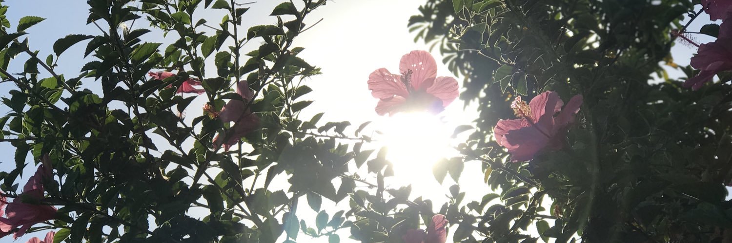 florcitaferraro's profile banner image