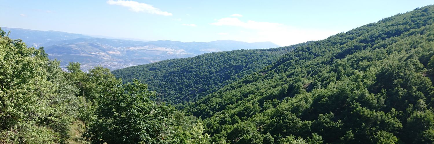 hoca1433's profile banner image