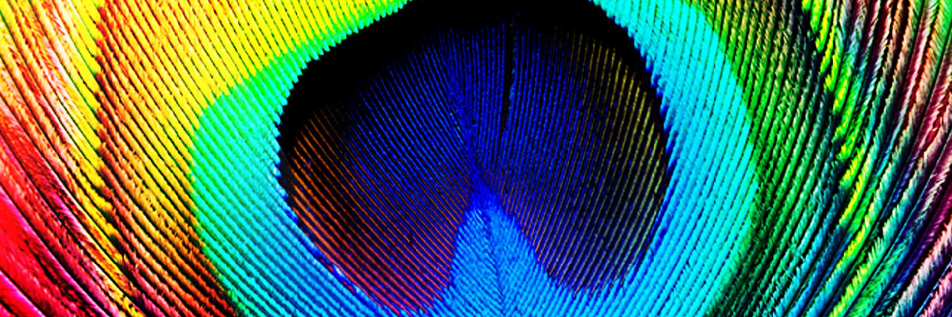 3stepsaheadtech's profile banner image