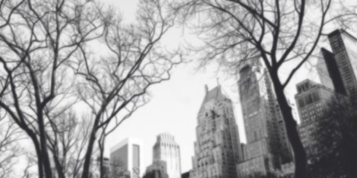ashleybdangdr's profile banner image