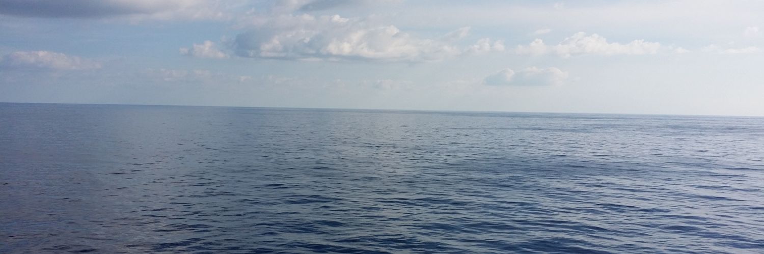 RomonPhillips's profile banner image