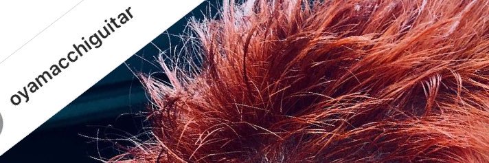 salon1028's profile banner image