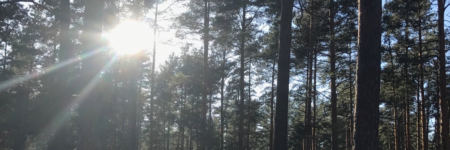 LauraJi_78's profile banner image