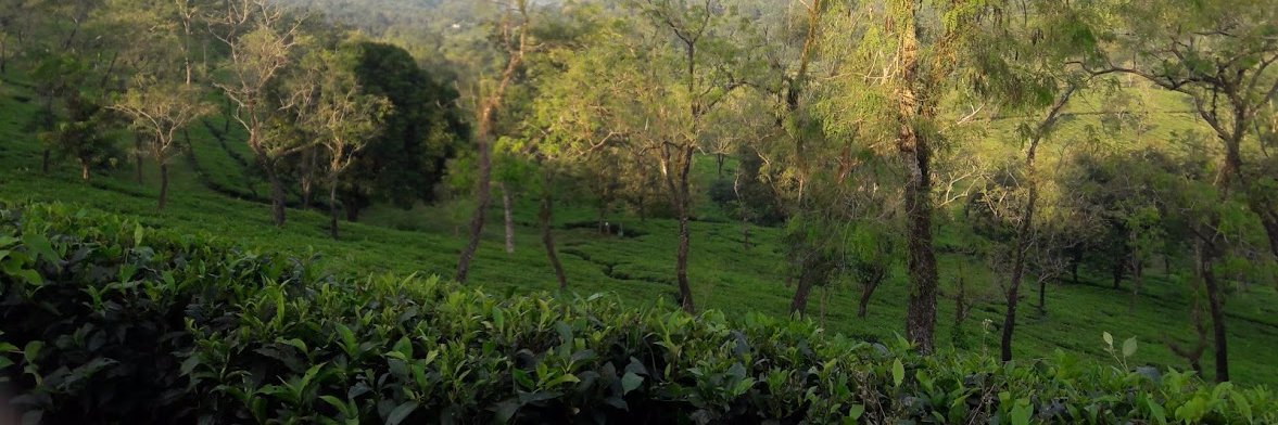 LinkinSudip's profile banner image