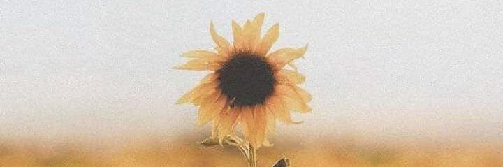 _Beauty_s's profile banner image