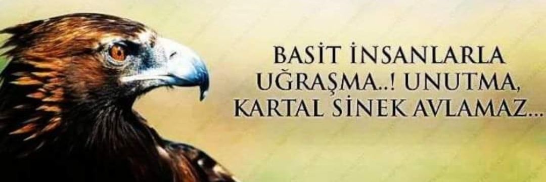 farsak23's profile banner image