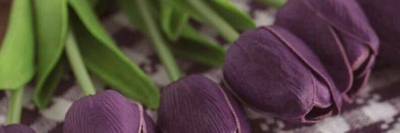 krerry24's profile banner image