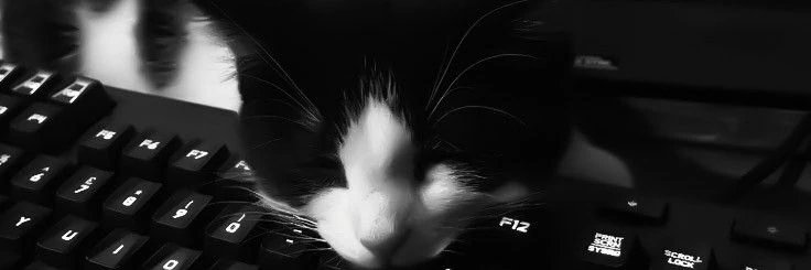 rfkiart's profile banner image