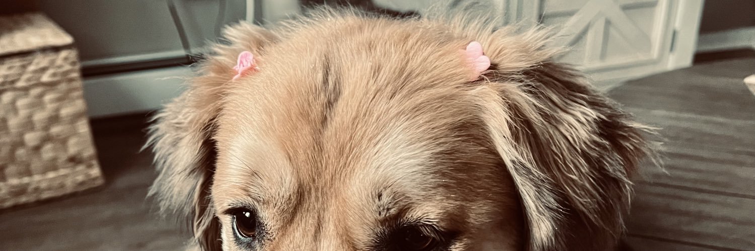 laini_brouty's profile banner image