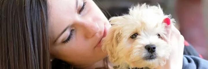 vickyricco's profile banner image