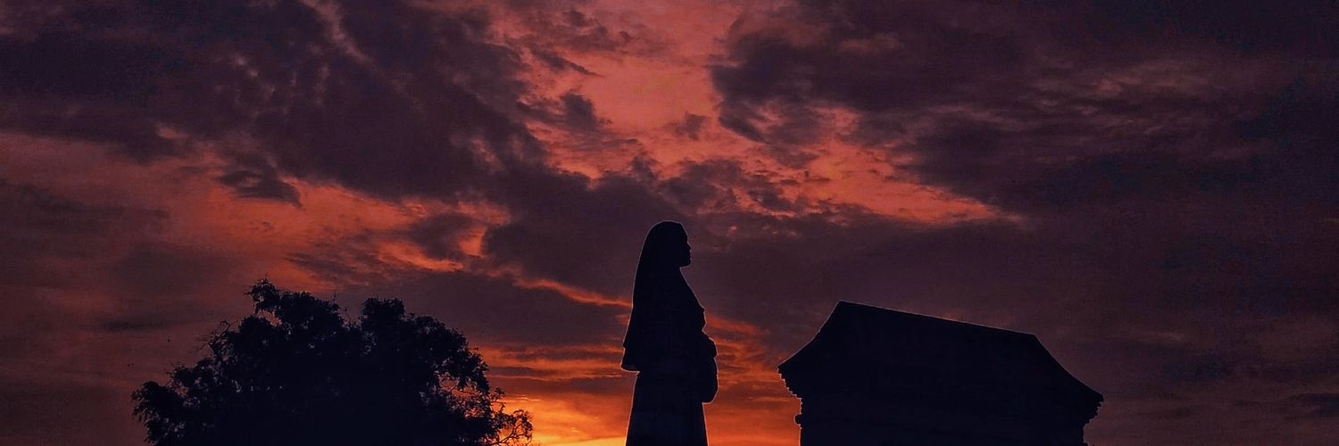 Anii_Meii's profile banner image