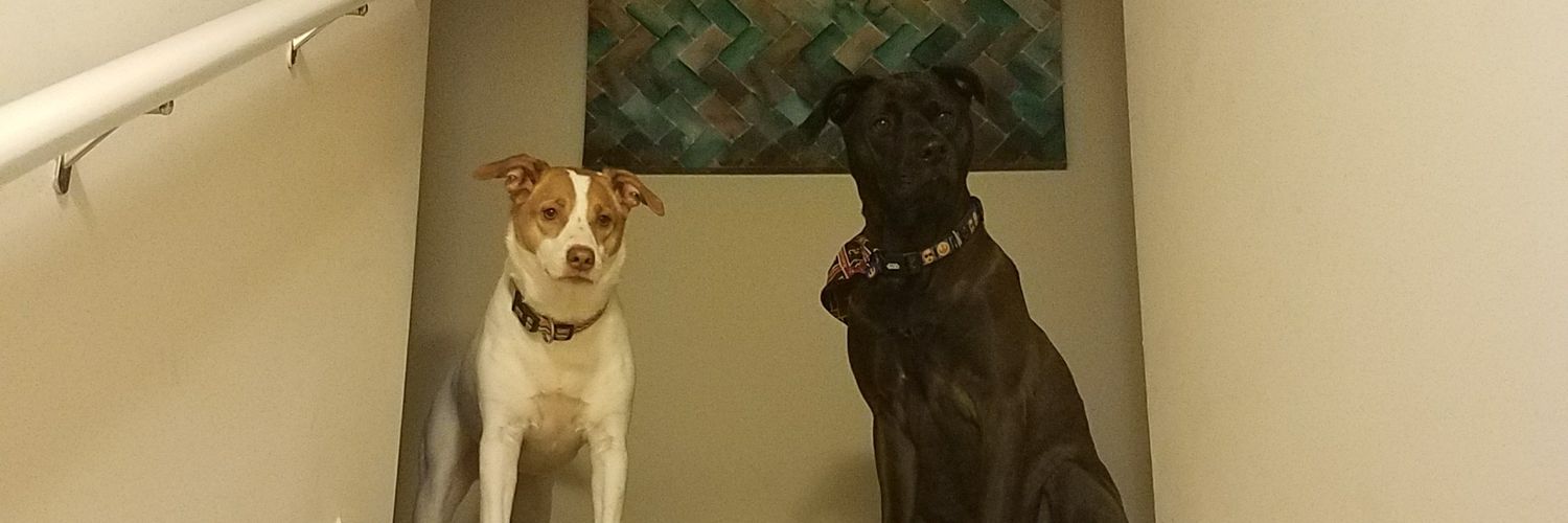 lusky9's profile banner image