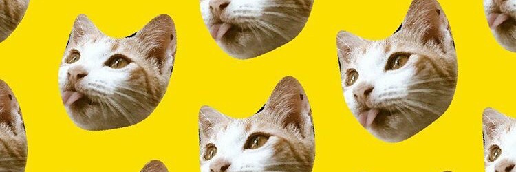 Deldol15's profile banner image