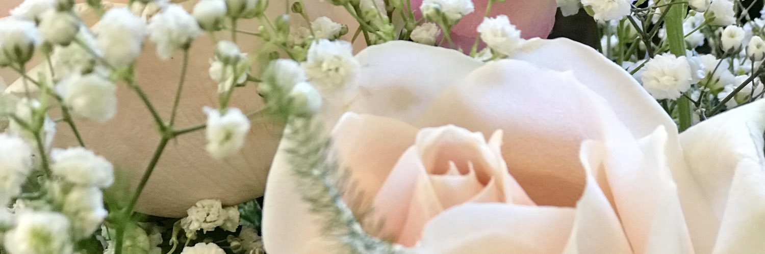 ninapippola's profile banner image