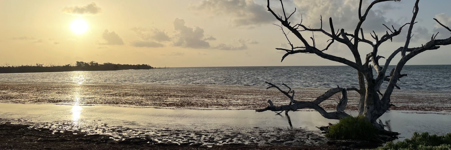 WendyIsett's profile banner image
