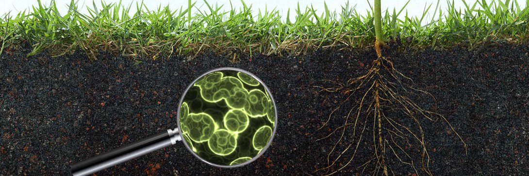 BioLogicSystems's profile banner image