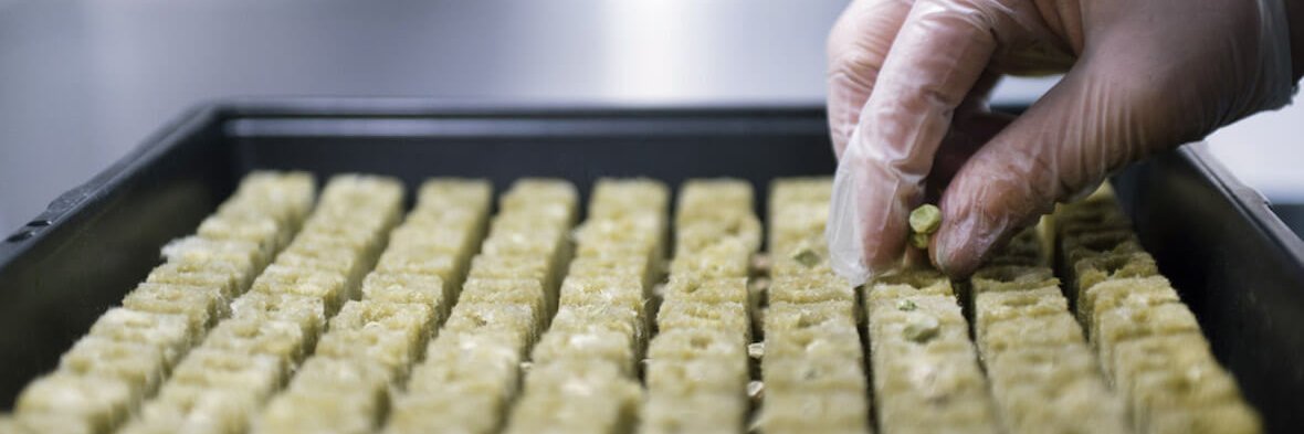 Edible Manhattan banner