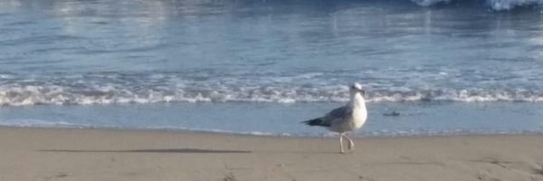 angonymously Profile Banner