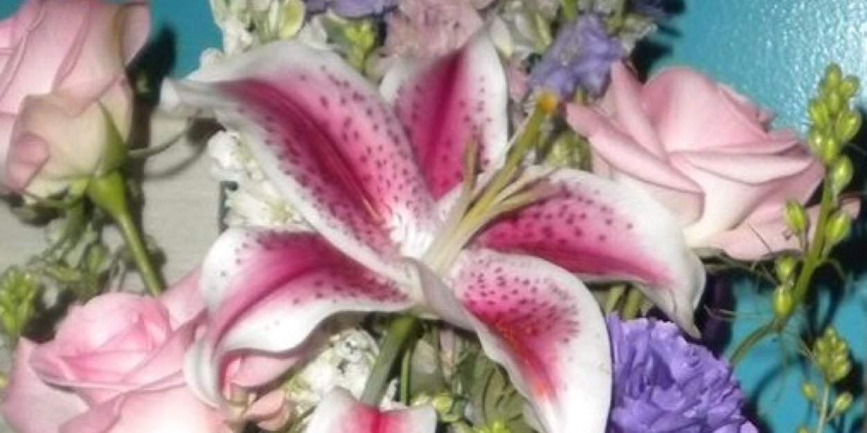 MayberrySarah13's profile banner image
