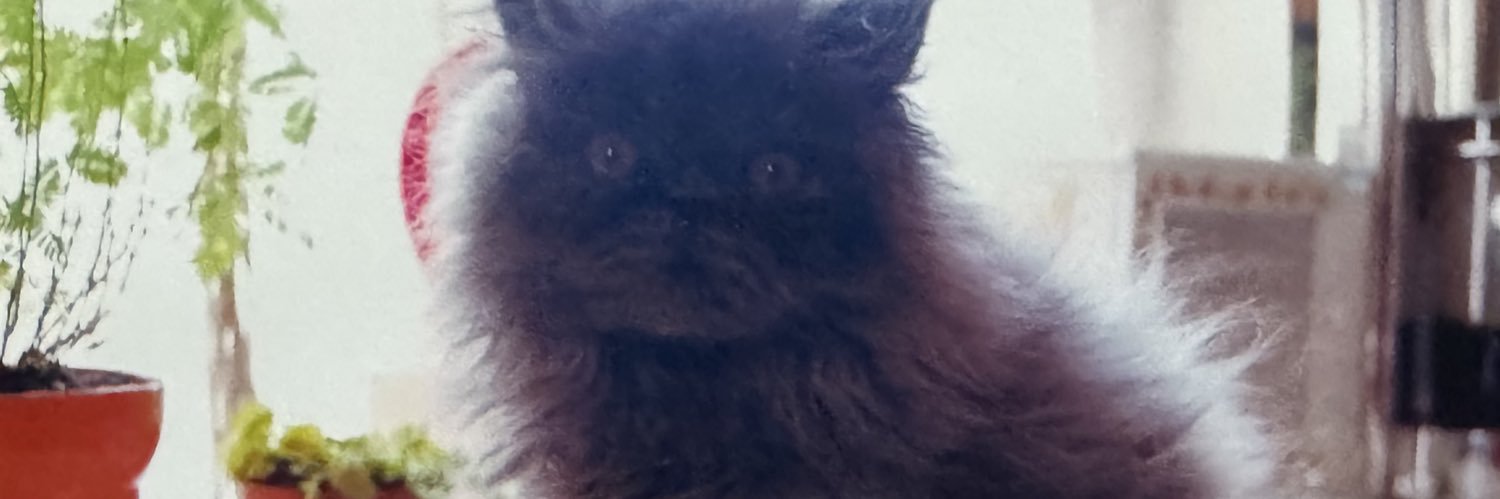 EauRor1's profile banner image
