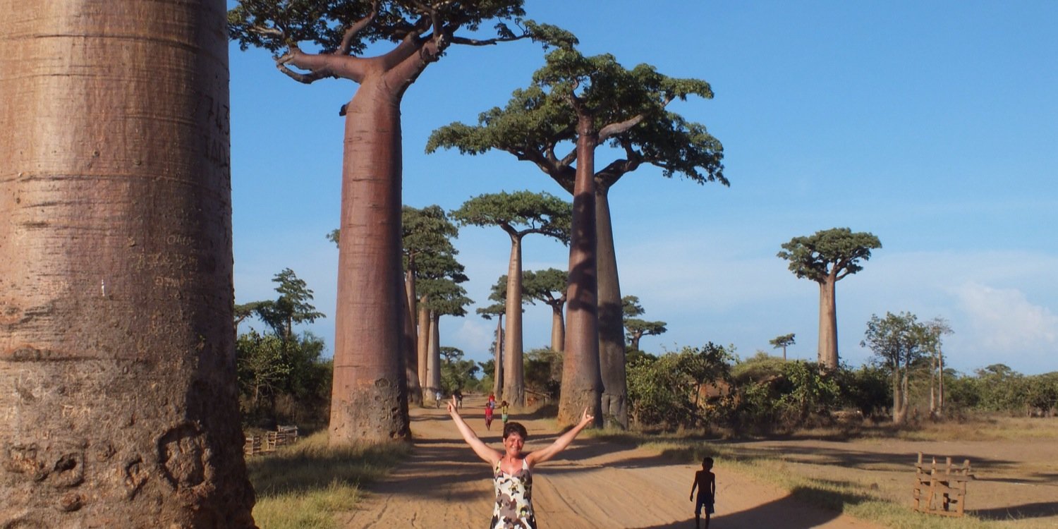 Patricia Mars banner