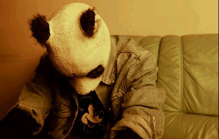 Stuartjacobs11's profile banner image
