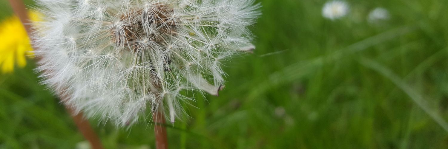 Jennifer Davidson banner