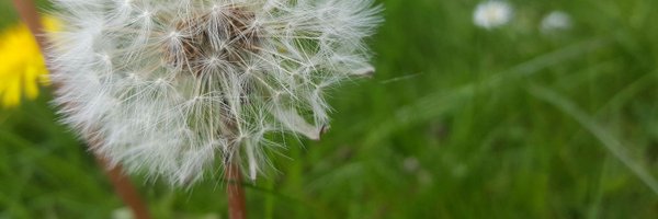 rainbubs Profile Banner